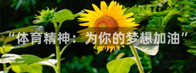 意昂5Kgame体育凯捷代理注册：“体育精神：为你的梦想加油”