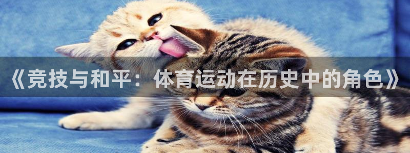 意昂5Kgame体育用品：《竞技与和平：体育运动在历史中的角色》