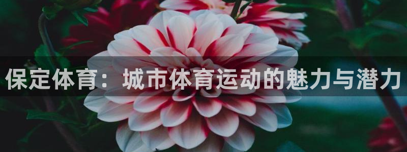 意昂5Kgame集团总部：保定体育：城市体育运动的魅力与潜力