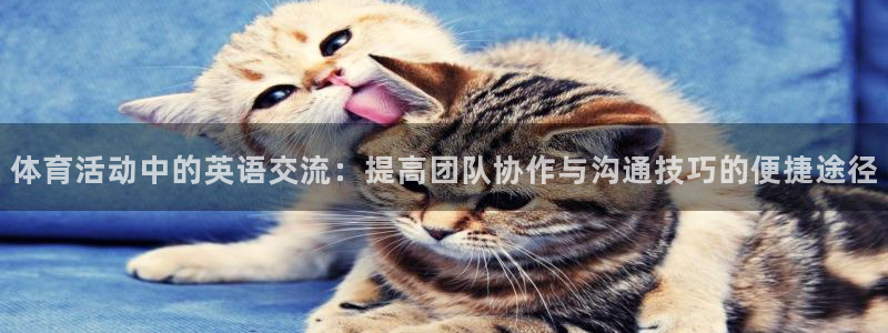 意昂5Kgame4平台注册：体育活动中的英语交流：提高团队协作与沟通技巧的便捷途