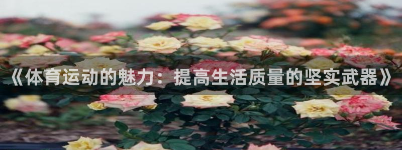 意昂5Kgame凯捷注册：《体育运动的魅力：提高生活质量的坚实武器》