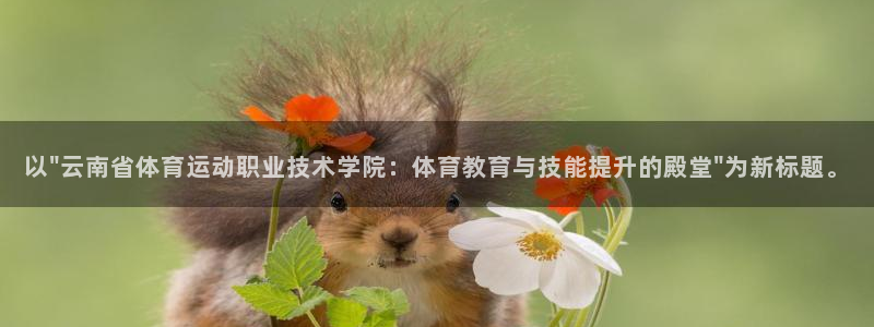 意昂5Kgame体育f开户：以\