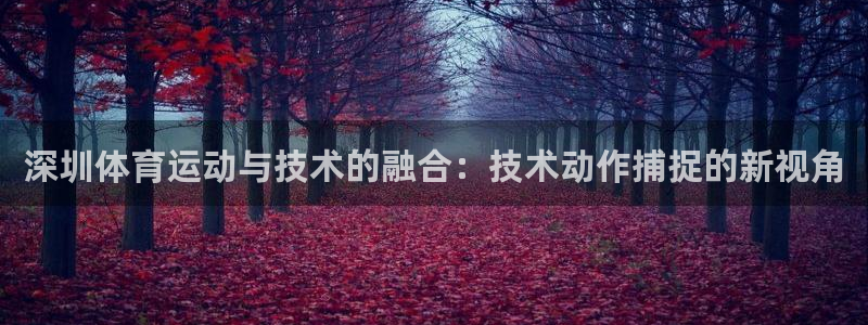 意昂5Kgame体育代理：深圳体育运动与技术的融合：技术动作捕捉的新视角
