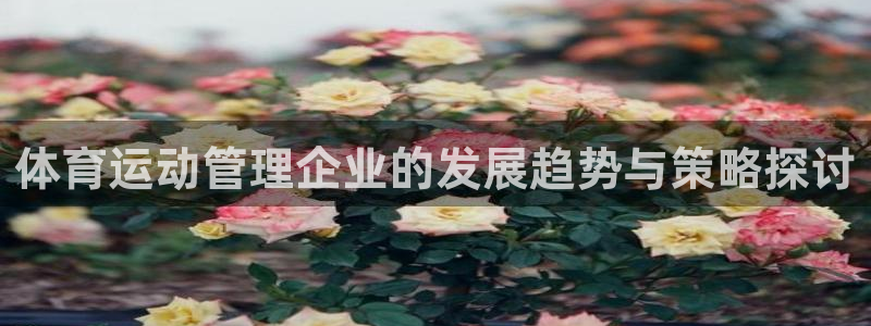 意昂5Kgame平台注册：体育运动管理企业的发展趋势与策略探讨