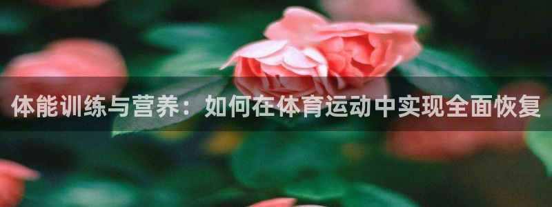 意昂5Kgame2平台：体能训练与营养：如何在体育运动中实现全面恢复