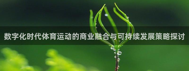 意昂5Kgame2体育登录入口：数字化时代体育运动的商业融合与可持续发展策略探讨