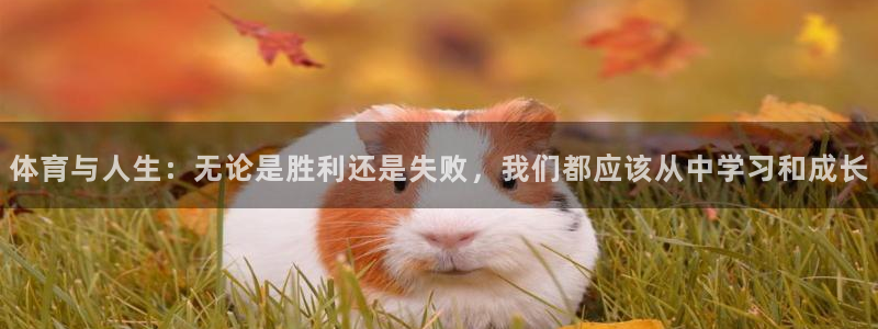 福建意昂5Kgame机电股份公司：体育与人生：无论是胜利还是失败，我们都应该从中