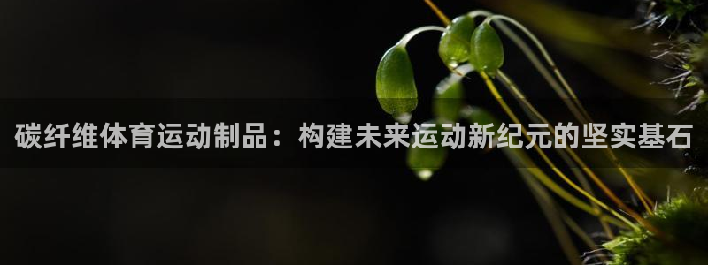 意昂5Kgame体育热门赛事有哪些：碳纤维体育运动制品：构建未来运动新纪元的坚实