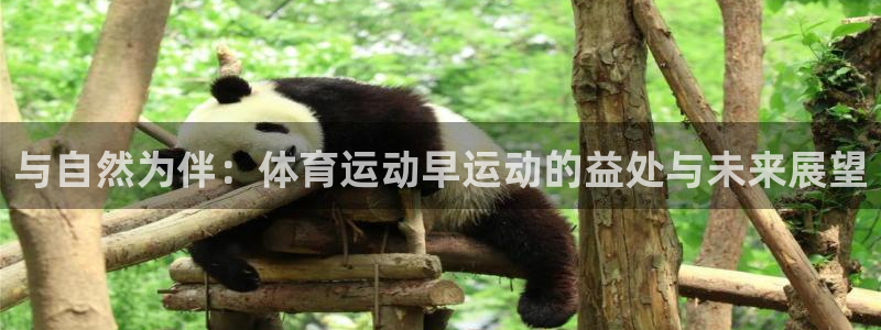 意昂5Kgame2代理注册：与自然为伴：体育运动早运动的益处与未来展望
