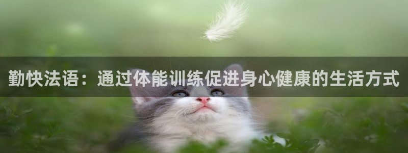 意昂5Kgame：勤快法语：通过体能训练促进身心健康的生活方式