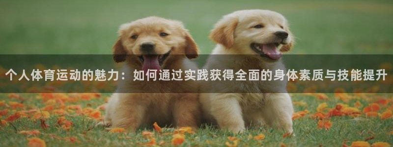 意昂5Kgame平台注册入口：个人体育运动的魅力：如何通过实践获得全面的身体素质与技能提升